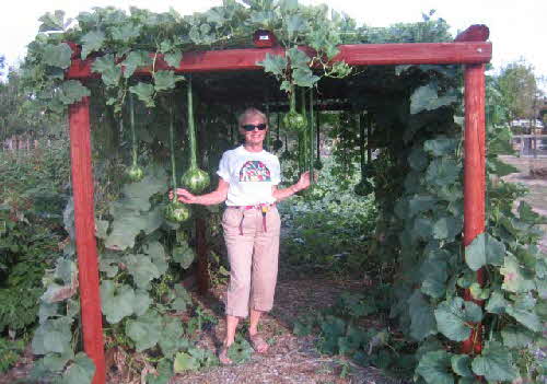 gourdhousea